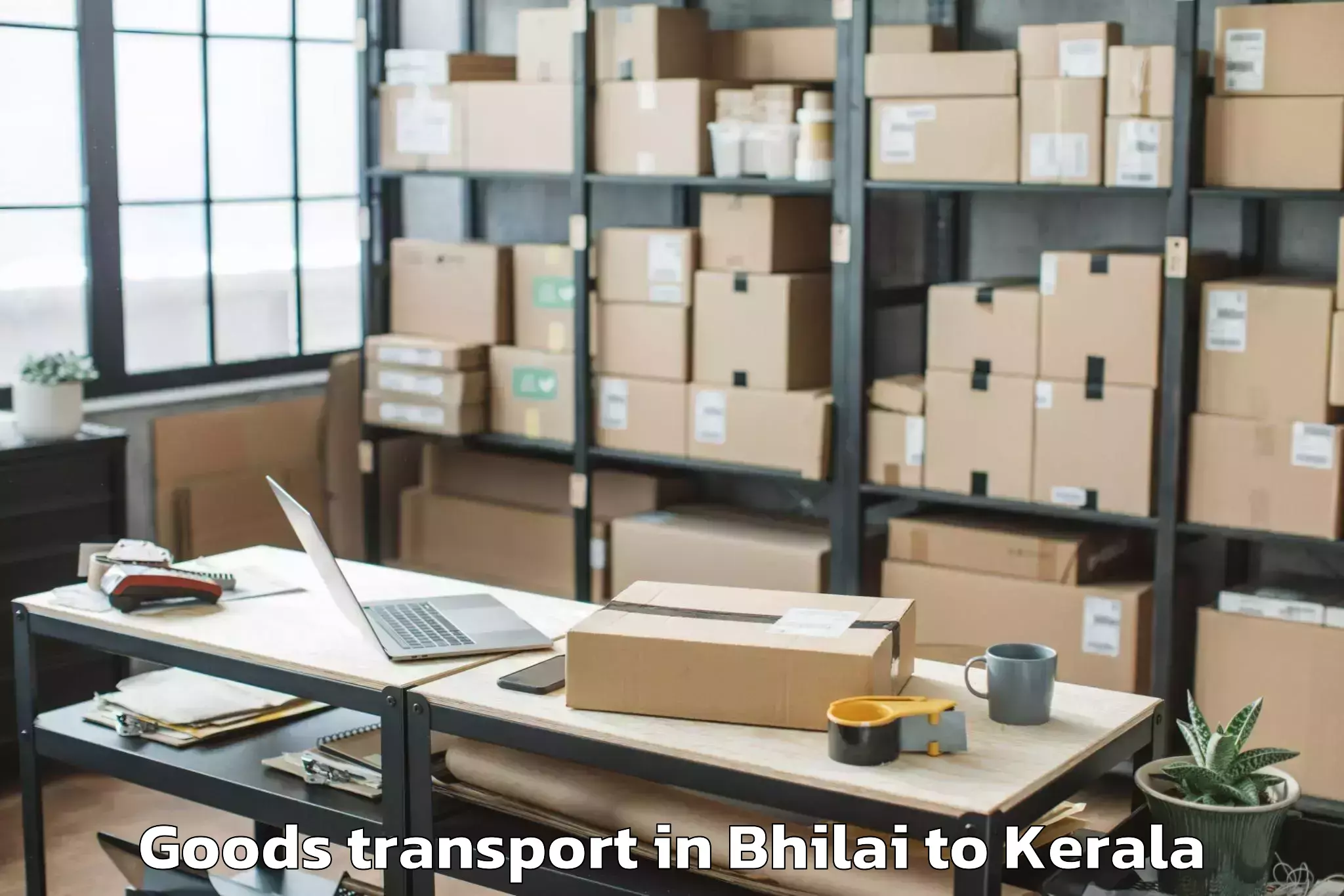 Hassle-Free Bhilai to Ayoor Goods Transport